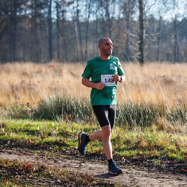 Frans-in-het-bos